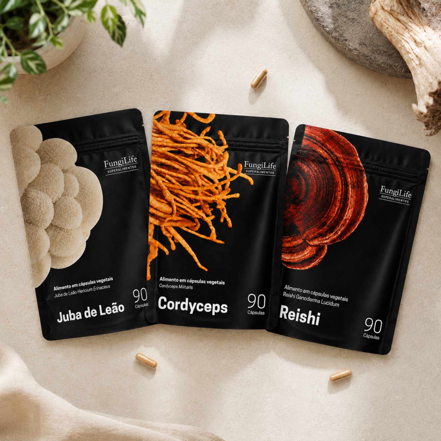 Kit Foco, Energia e Equilíbrio | Lions Mane + Cordyceps + Reishi