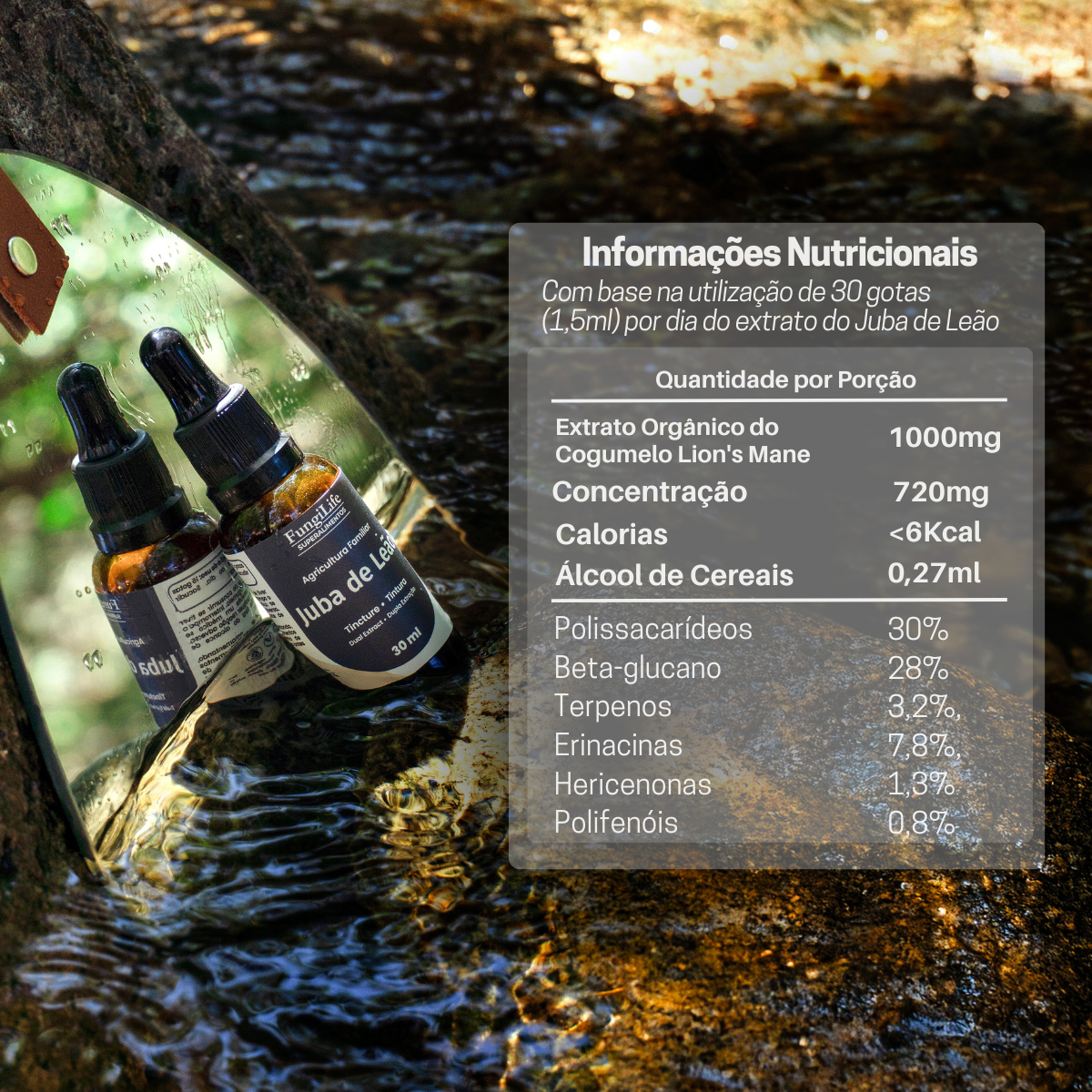 Kit Foco e Energia | Juba de Leão + Cordyceps | Extrato Líquido 30ml