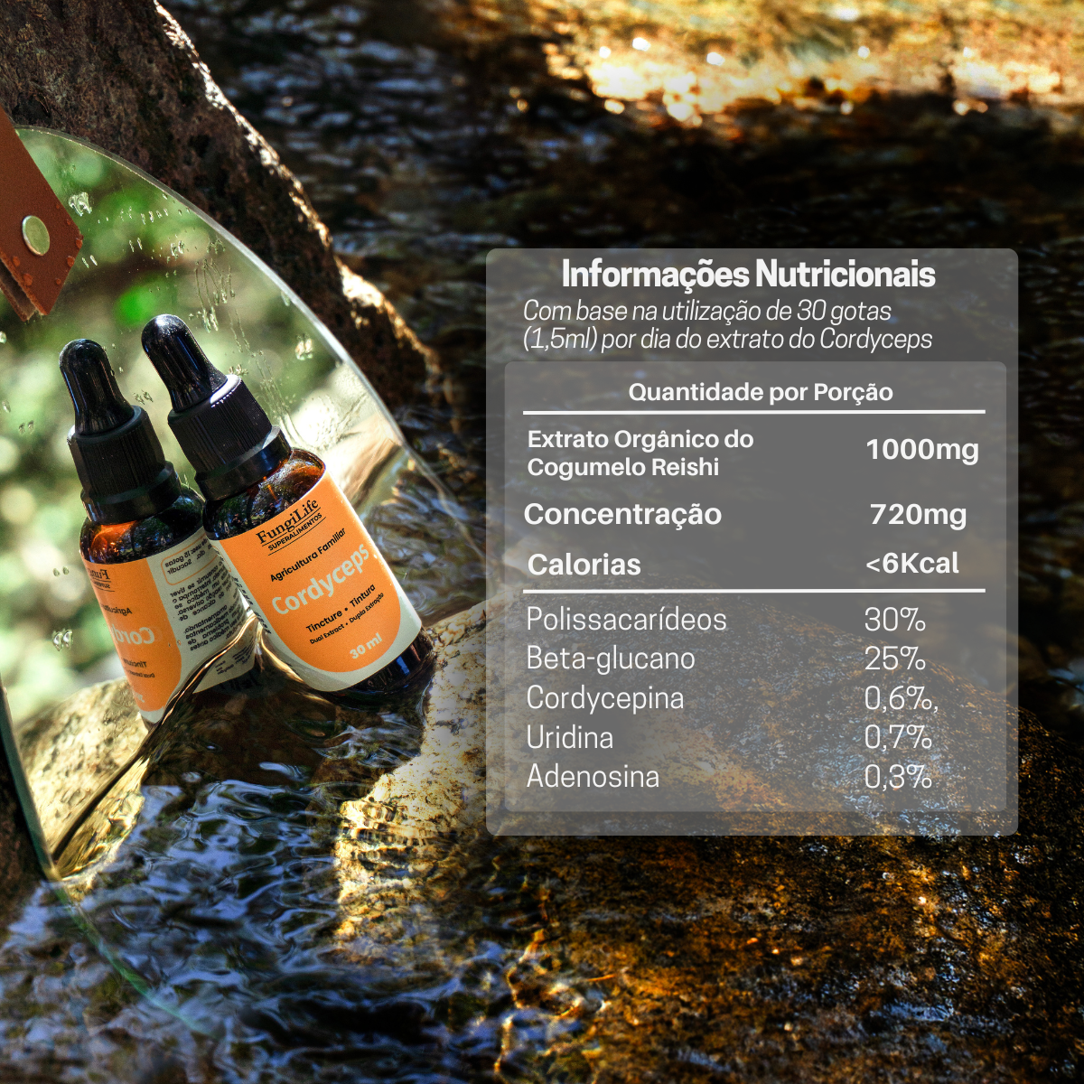 Kit Energia e Equilibrio | Cordyceps + Reishi | Extrato Líquido 30ml