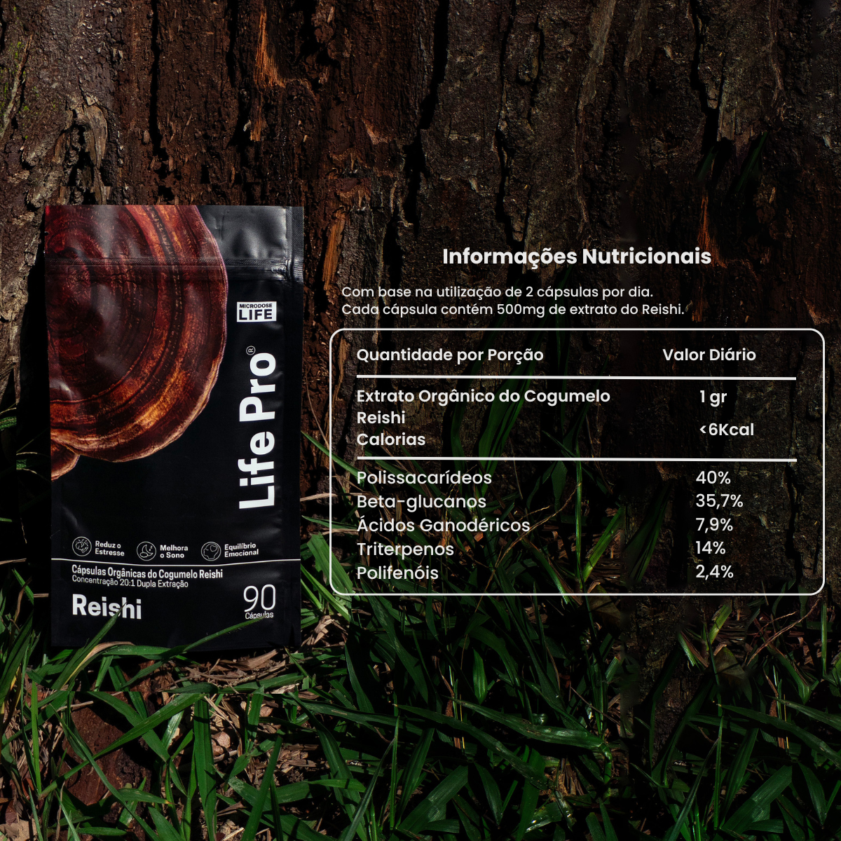 Kit Foco e Equilíbrio | Lion's Mane + Reishi | Extrato Encapsulado 90 Caps