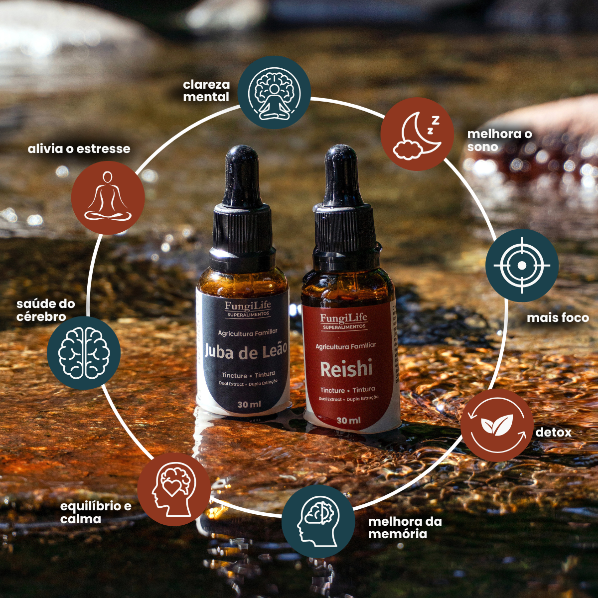 Kit Foco e Equilíbrio | Lions Mane + Reishi | Extrato Líquido 30ml