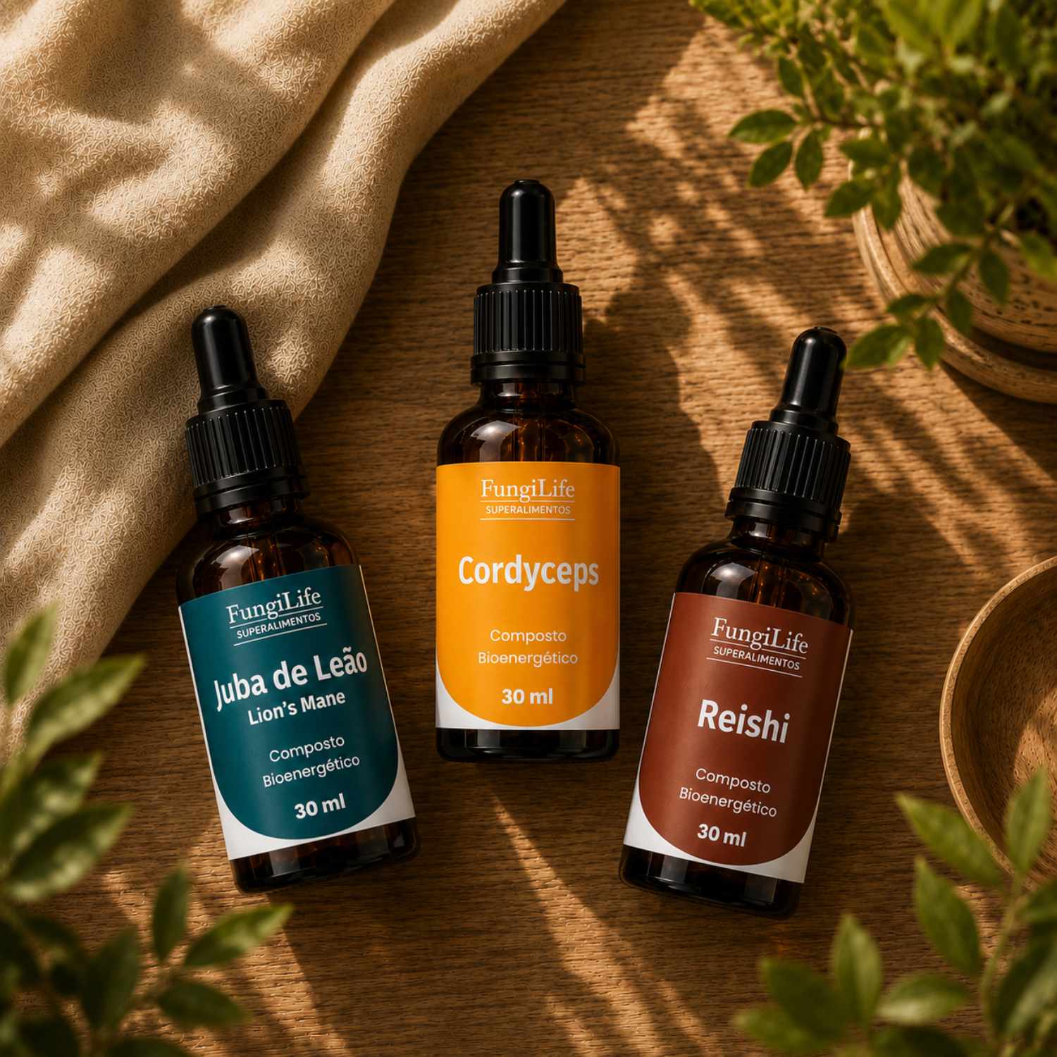 Kit Foco, Energia e Equilíbrio | Juba de Leão + Cordyceps + Reishi | Extrato Líquido 30ml