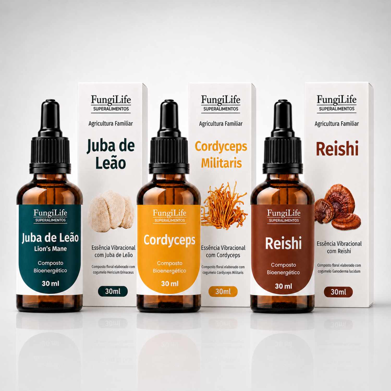 Kit Foco, Energia e Equilíbrio | Juba de Leão + Cordyceps + Reishi | Extrato Líquido 30ml